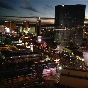 Meet your Posher, Mona